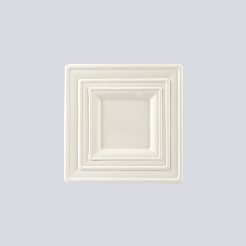 成形ファイバープレートとカップトレイ