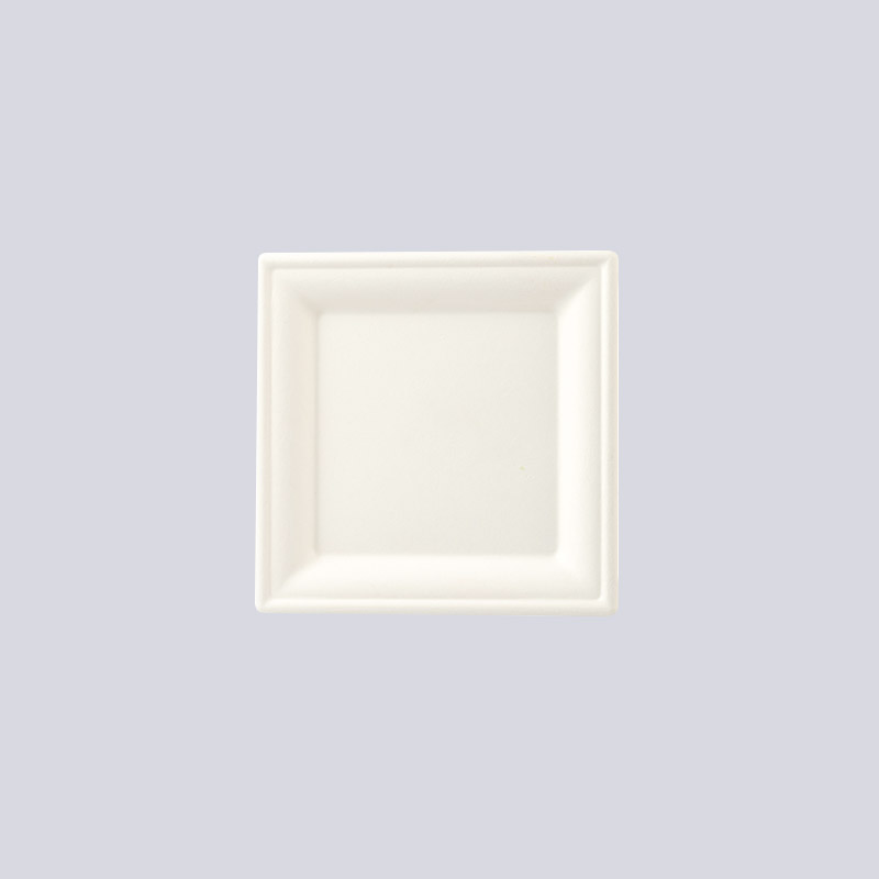 成形ファイバープレートとカップトレイ